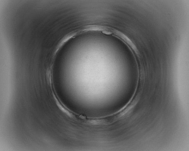 X0000114591433200910191548