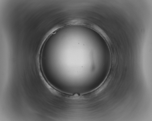 X0000114591434200910191548