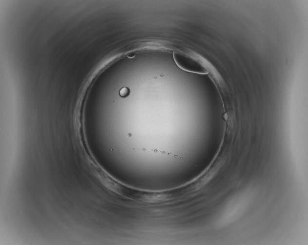 X0000114591435200910191548