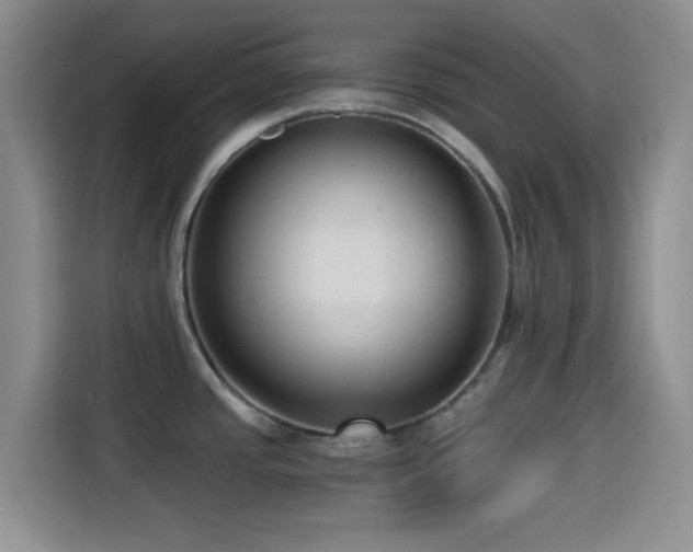 X0000114591437200910191548