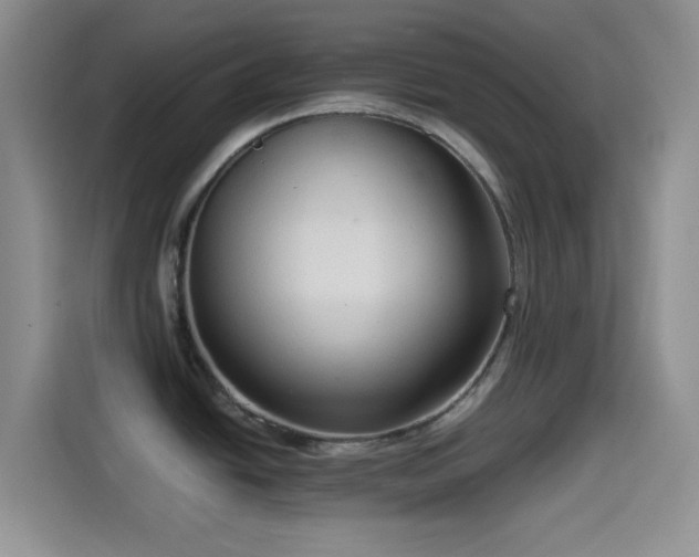 X0000114591438200910191548