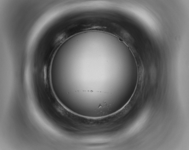 X0000114591439200910191548