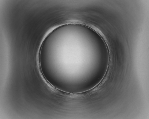X0000114591440200910191548