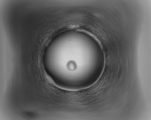 X0000114591441200910191547