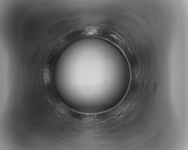 X0000114591442200910191547