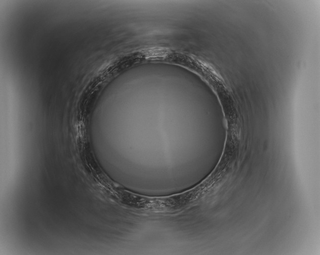 X0000114591445200910191547