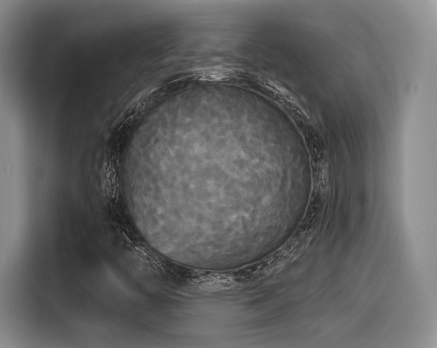 X0000114591446200910191547