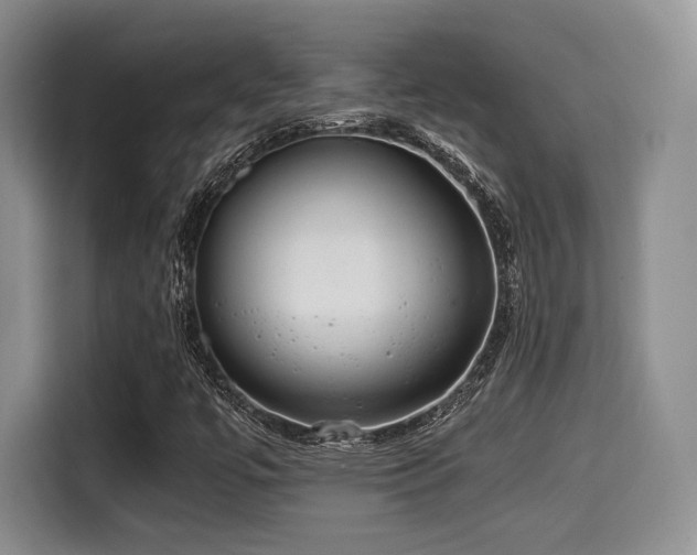 X0000114591447200910191547