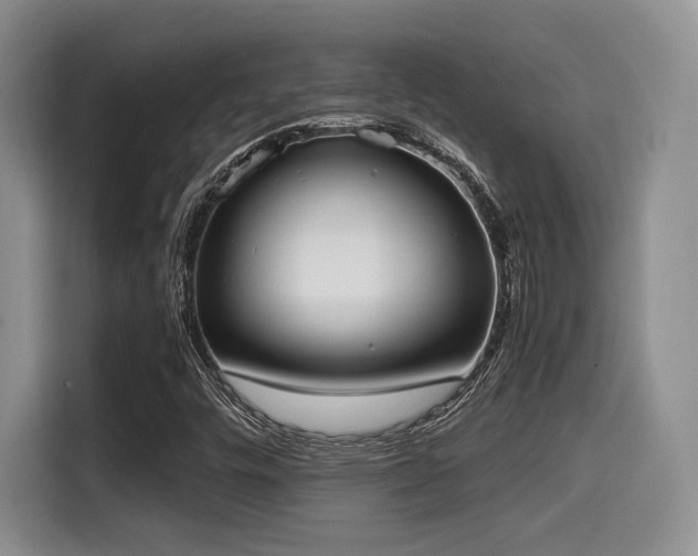 X0000114591448200910191547
