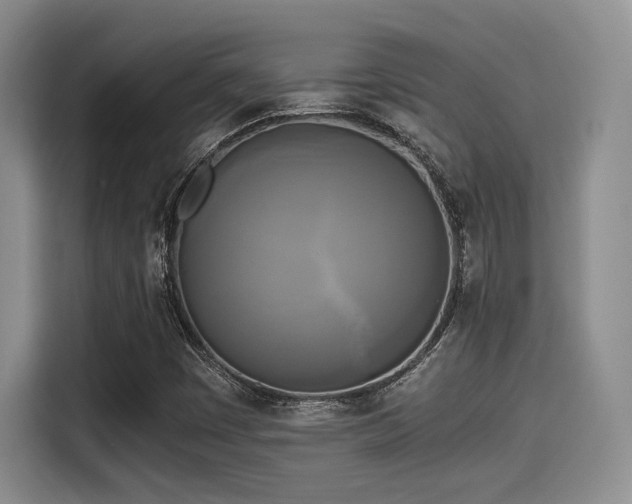 X0000114591449200910191547