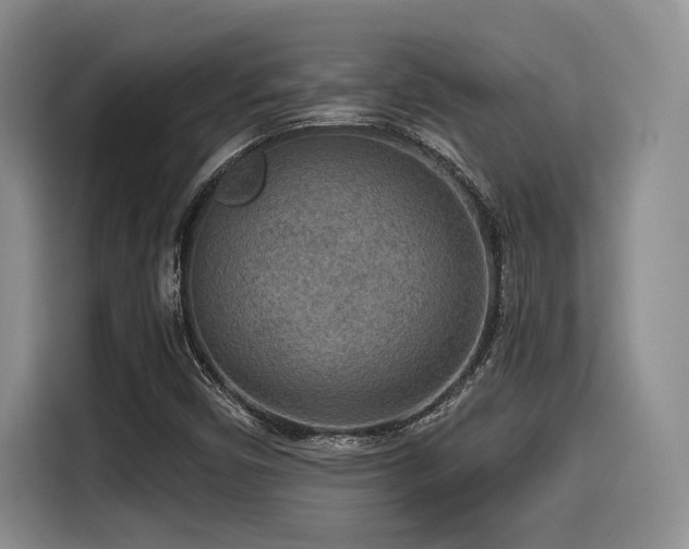 X0000114591450200910191547