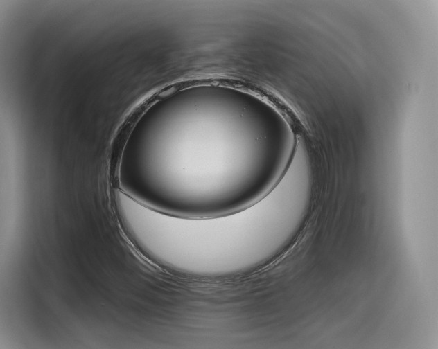 X0000114591452200910191547