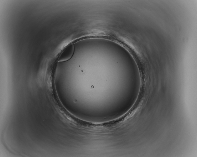 X0000114591455200910191547