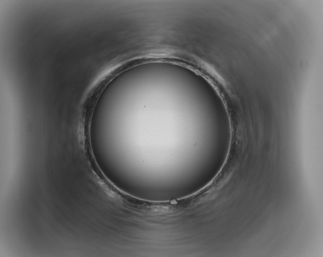X0000114591456200910191547