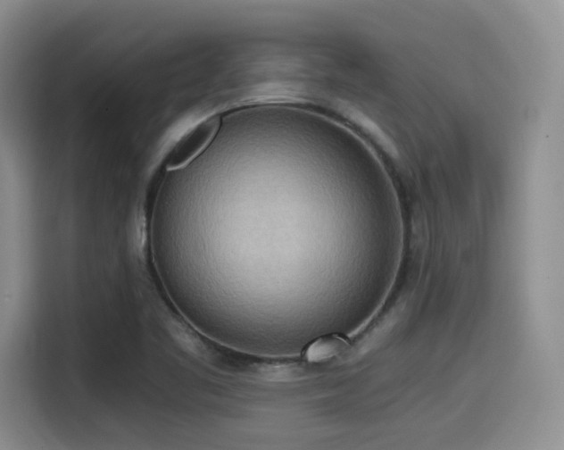X0000114591461200910191547