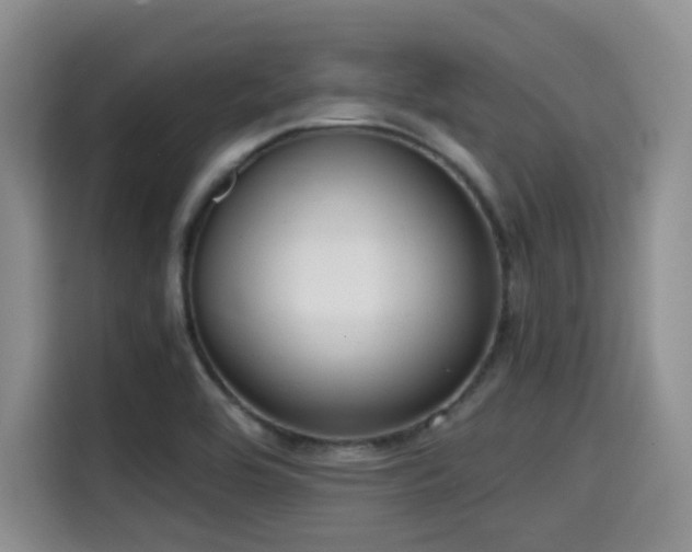 X0000114591464200910191547