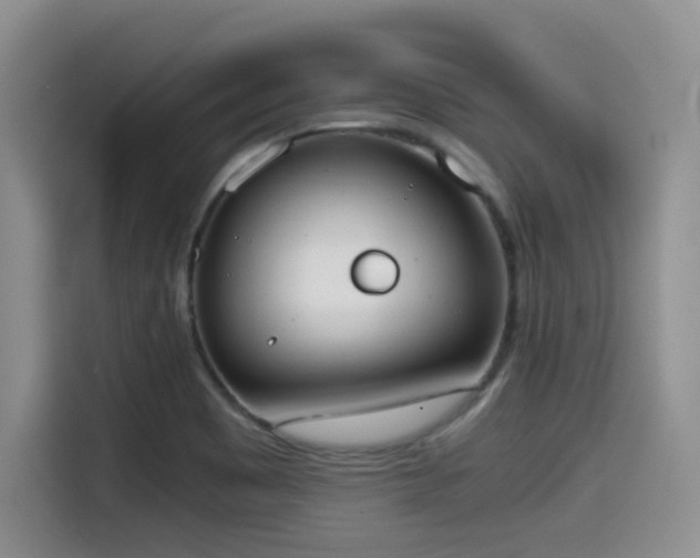 X0000114591465200910191547