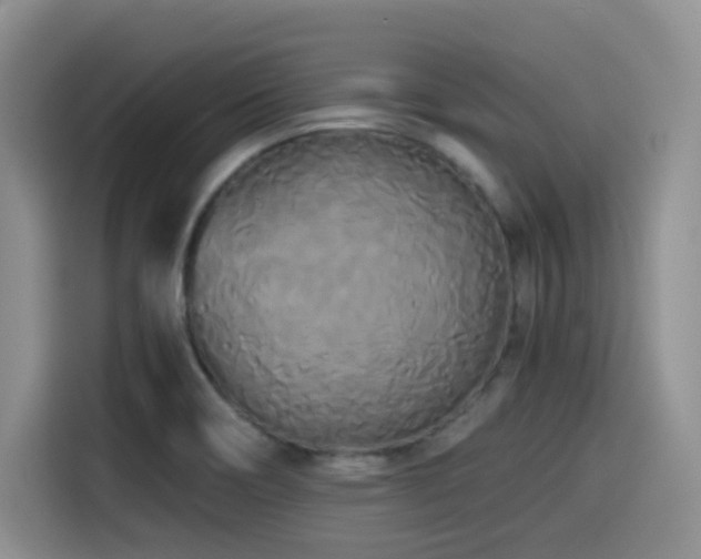 X0000114591466200910191547