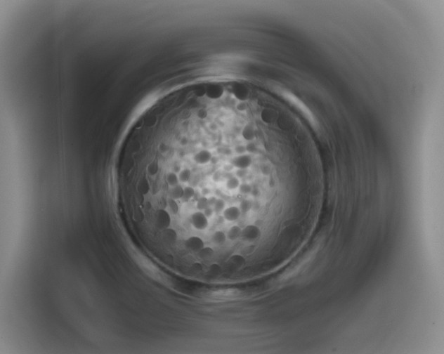 X0000114591467200910191547