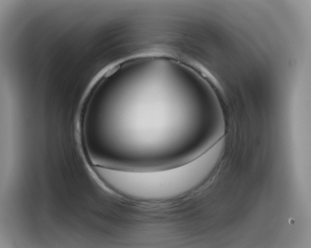 X0000114591468200910191547