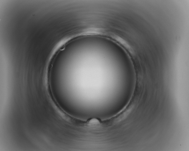 X0000114591469200910191547