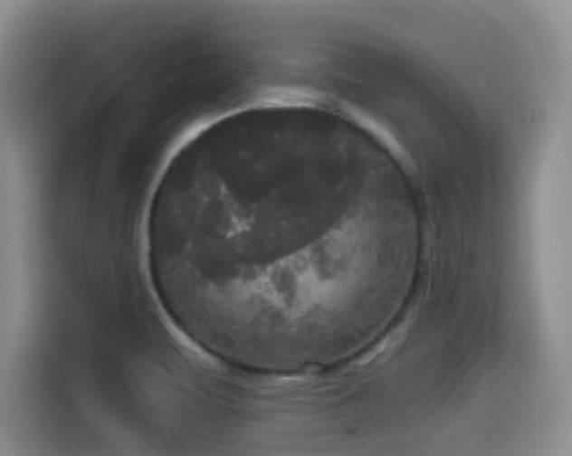 X0000114591471200910191547