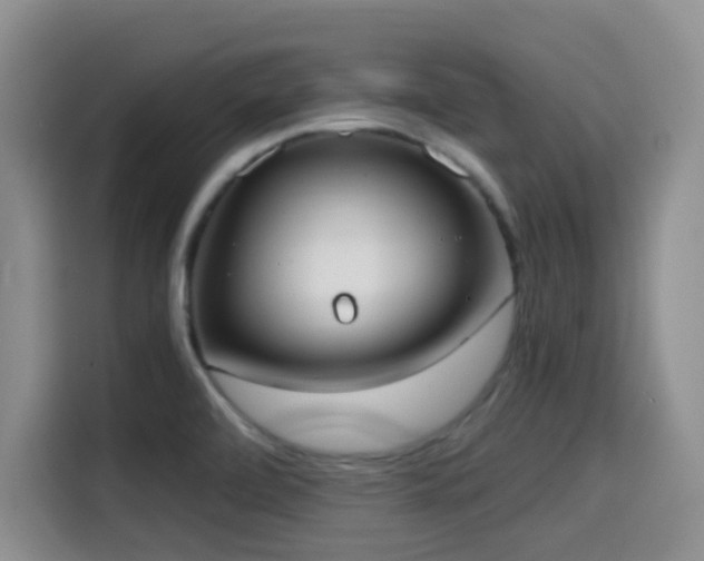X0000114591472200910191547