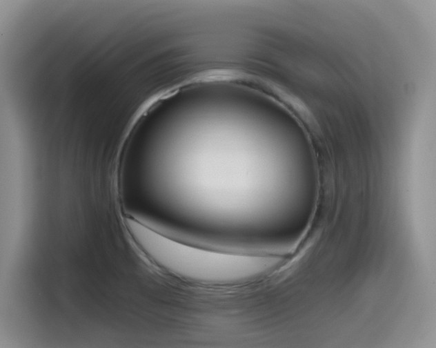 X0000114591473200910191547