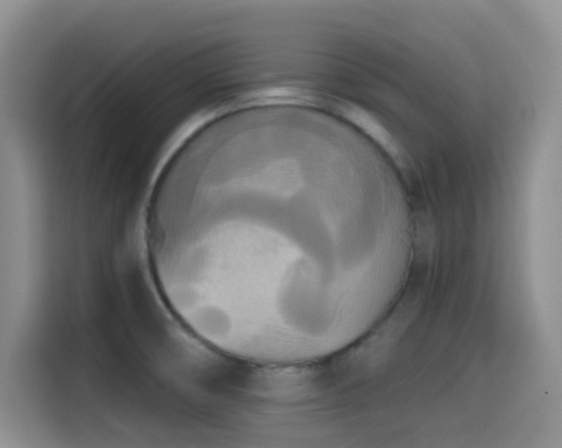 X0000114591474200910191547