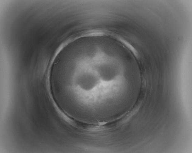 X0000114591475200910191547