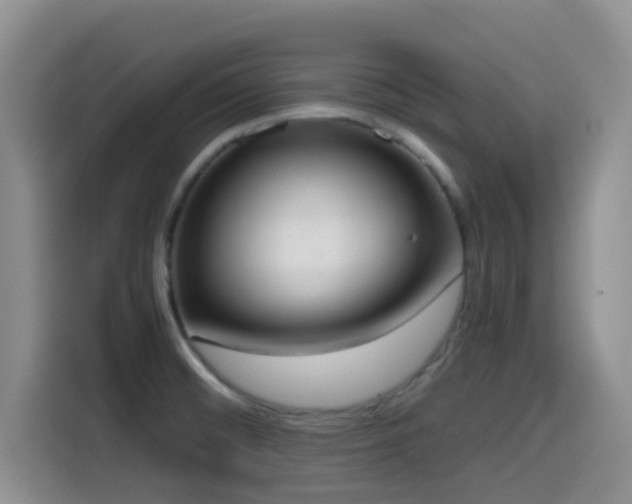 X0000114591476200910191547