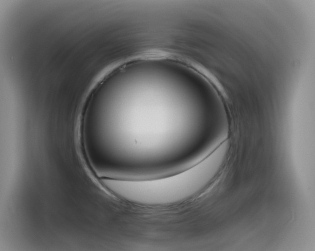 X0000114591477200910191547