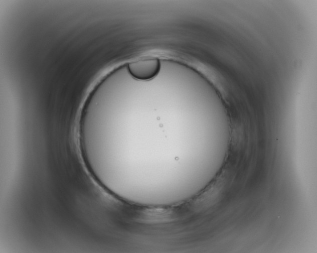 X0000114591478200910191547