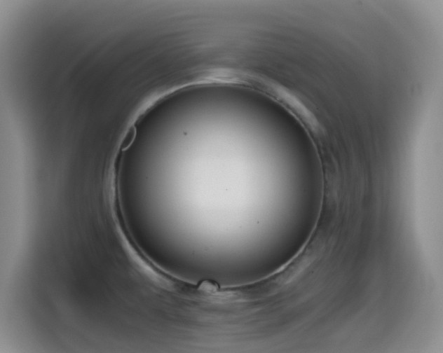 X0000114591479200910191547