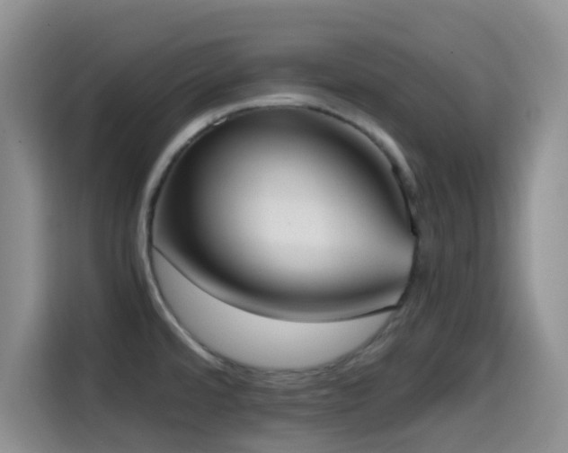 X0000114591480200910191547