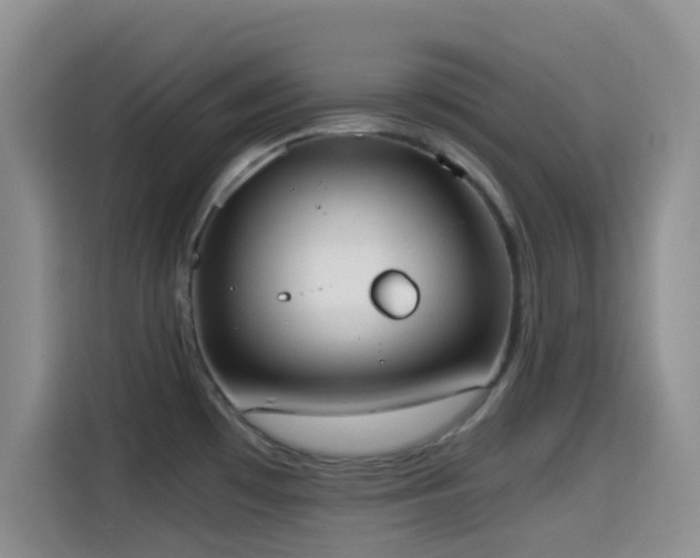 X0000114591481200910191547