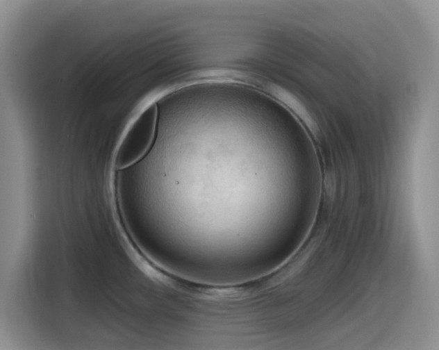 X0000114591482200910191547