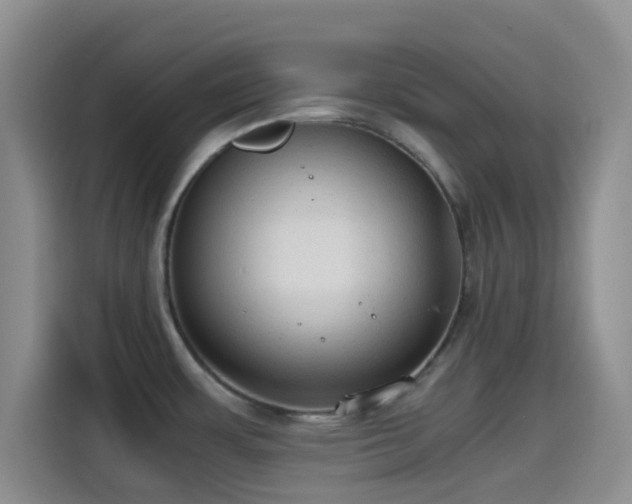 X0000114591483200910191547