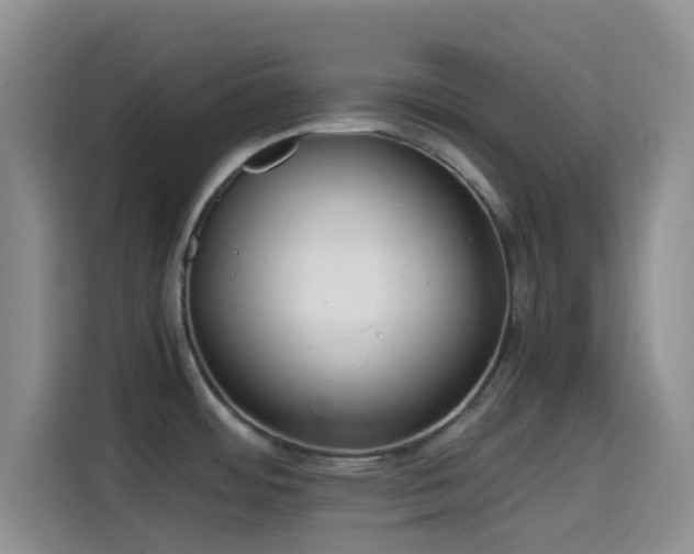 X0000114591484200910191547