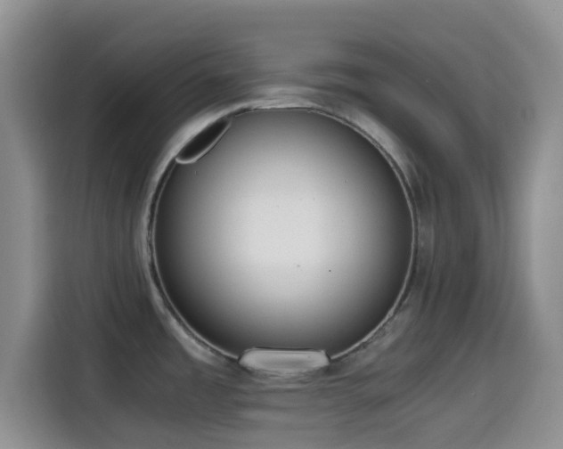 X0000114591485200910191547