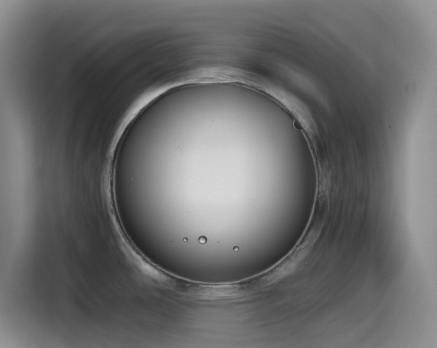 X0000114591486200910191547