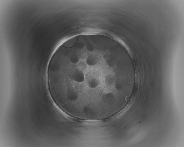 X0000114591487200910191547