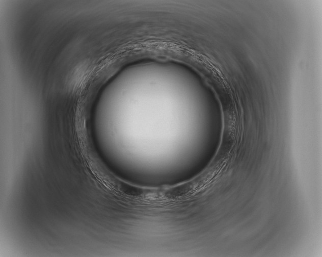 X0000114591489200910191546