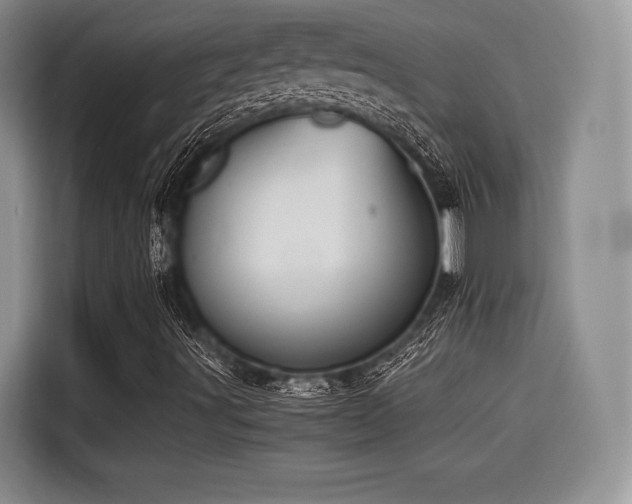 X0000114591491200910191546