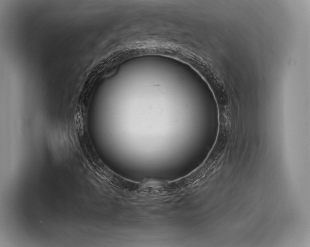 X0000114591493200910191546
