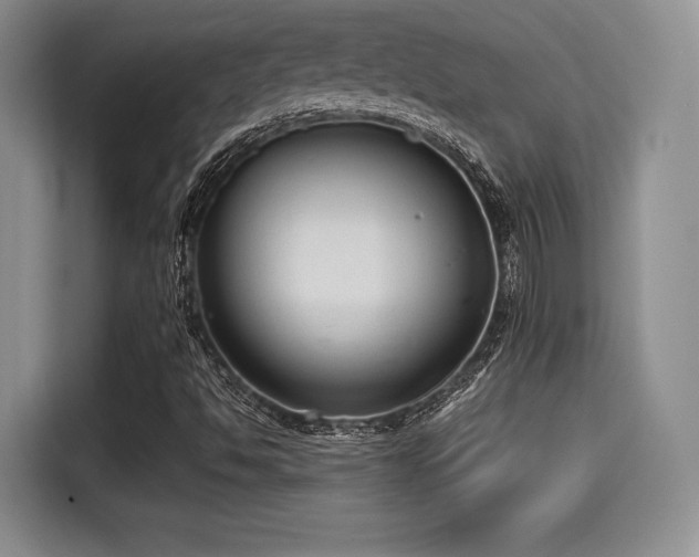 X0000114591494200910191546