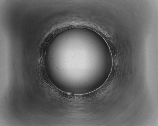 X0000114591495200910191546
