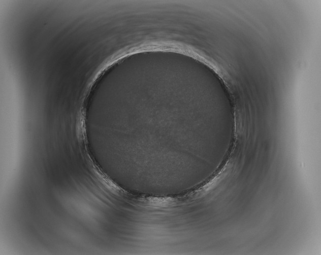 X0000114591498200910191546
