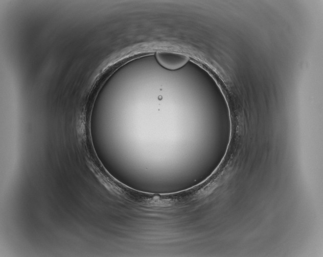X0000114591499200910191546
