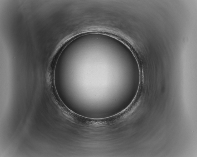 X0000114591501200910191546